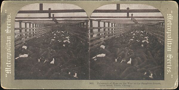 [Group of 107 Stereograph Views of Animals], Keystone View Company, Albumen silver prints
