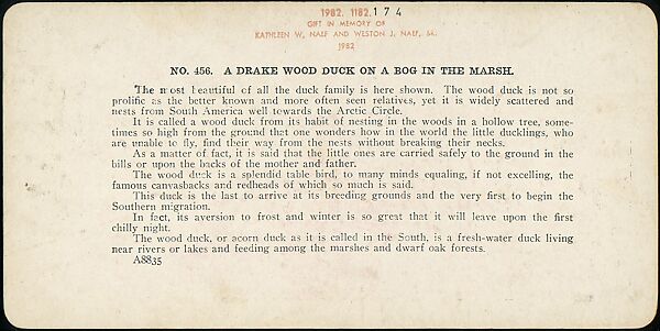 [Group of 107 Stereograph Views of Animals], Keystone View Company, Albumen silver prints