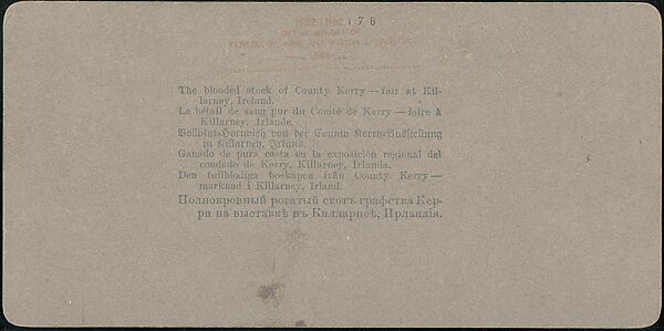 [Group of 107 Stereograph Views of Animals], Keystone View Company, Albumen silver prints