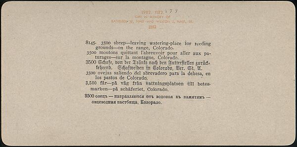 [Group of 107 Stereograph Views of Animals], Keystone View Company, Albumen silver prints