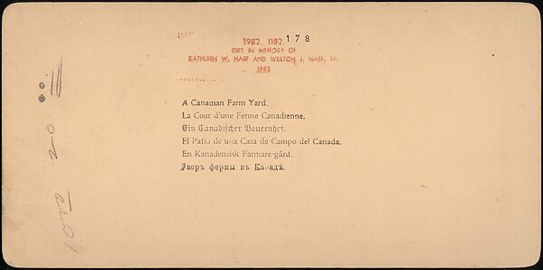 [Group of 107 Stereograph Views of Animals], Keystone View Company, Albumen silver prints