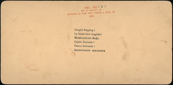 [Group of 107 Stereograph Views of Animals], Keystone View Company, Albumen silver prints