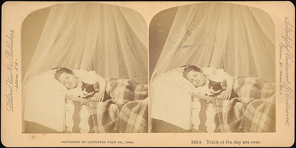 [Group of 107 Stereograph Views of Animals], Keystone View Company, Albumen silver prints