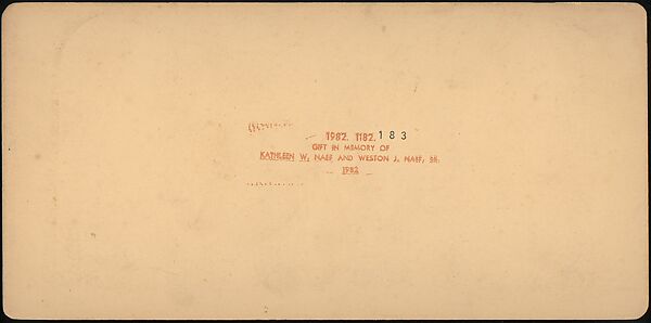 [Group of 107 Stereograph Views of Animals], Keystone View Company, Albumen silver prints