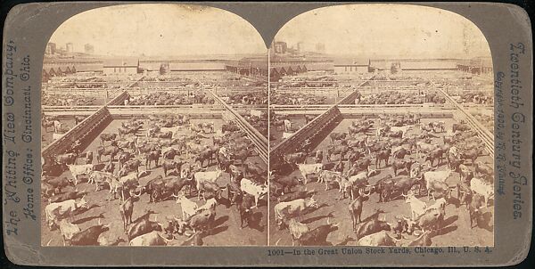 [Group of 107 Stereograph Views of Animals], Keystone View Company, Albumen silver prints
