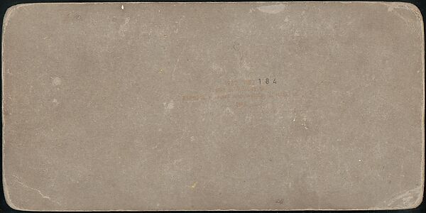 [Group of 107 Stereograph Views of Animals], Keystone View Company, Albumen silver prints