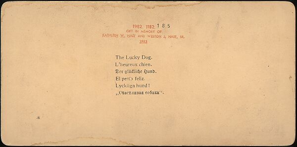 [Group of 107 Stereograph Views of Animals], Keystone View Company, Albumen silver prints