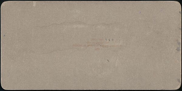 [Group of 107 Stereograph Views of Animals], Keystone View Company, Albumen silver prints