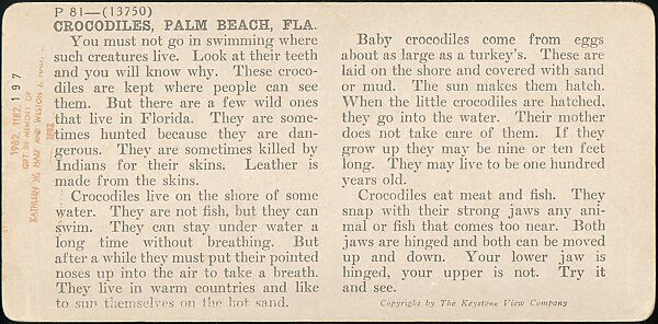 [Group of 107 Stereograph Views of Animals], Keystone View Company, Albumen silver prints