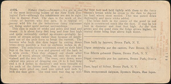 [Group of 107 Stereograph Views of Animals], Keystone View Company, Albumen silver prints