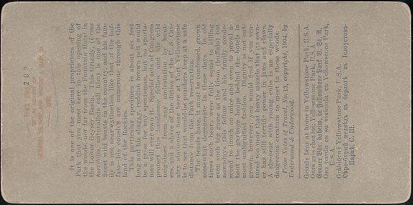 [Group of 107 Stereograph Views of Animals], Keystone View Company, Albumen silver prints