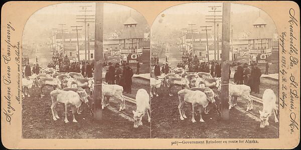 [Group of 107 Stereograph Views of Animals], Keystone View Company, Albumen silver prints