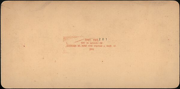 [Group of 107 Stereograph Views of Animals], Keystone View Company, Albumen silver prints