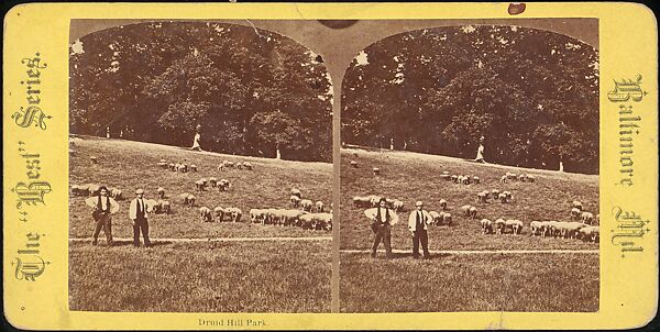 [Group of 107 Stereograph Views of Animals], Keystone View Company, Albumen silver prints