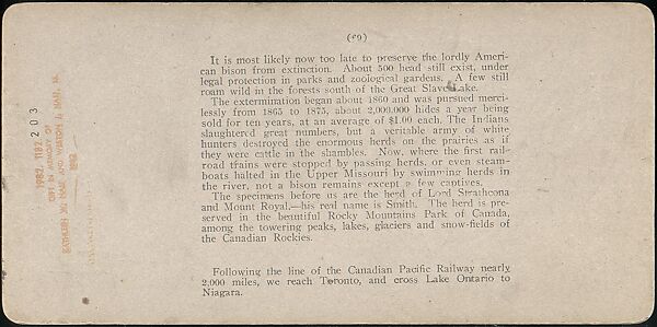 [Group of 107 Stereograph Views of Animals], Keystone View Company, Albumen silver prints