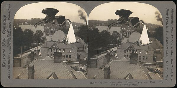 [Group of 107 Stereograph Views of Animals]