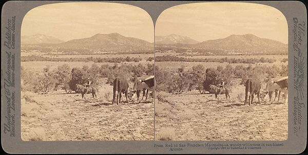 [Group of 48 Stereograph Views of Arizona and the Surrounding Area], H. C. White Company (American), Albumen silver prints
