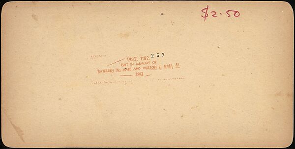 [Group of 41 Stereograph Views of Astronomy Related Scenes], Commissioned by Nautical Almanac Office (American), Albumen silver prints