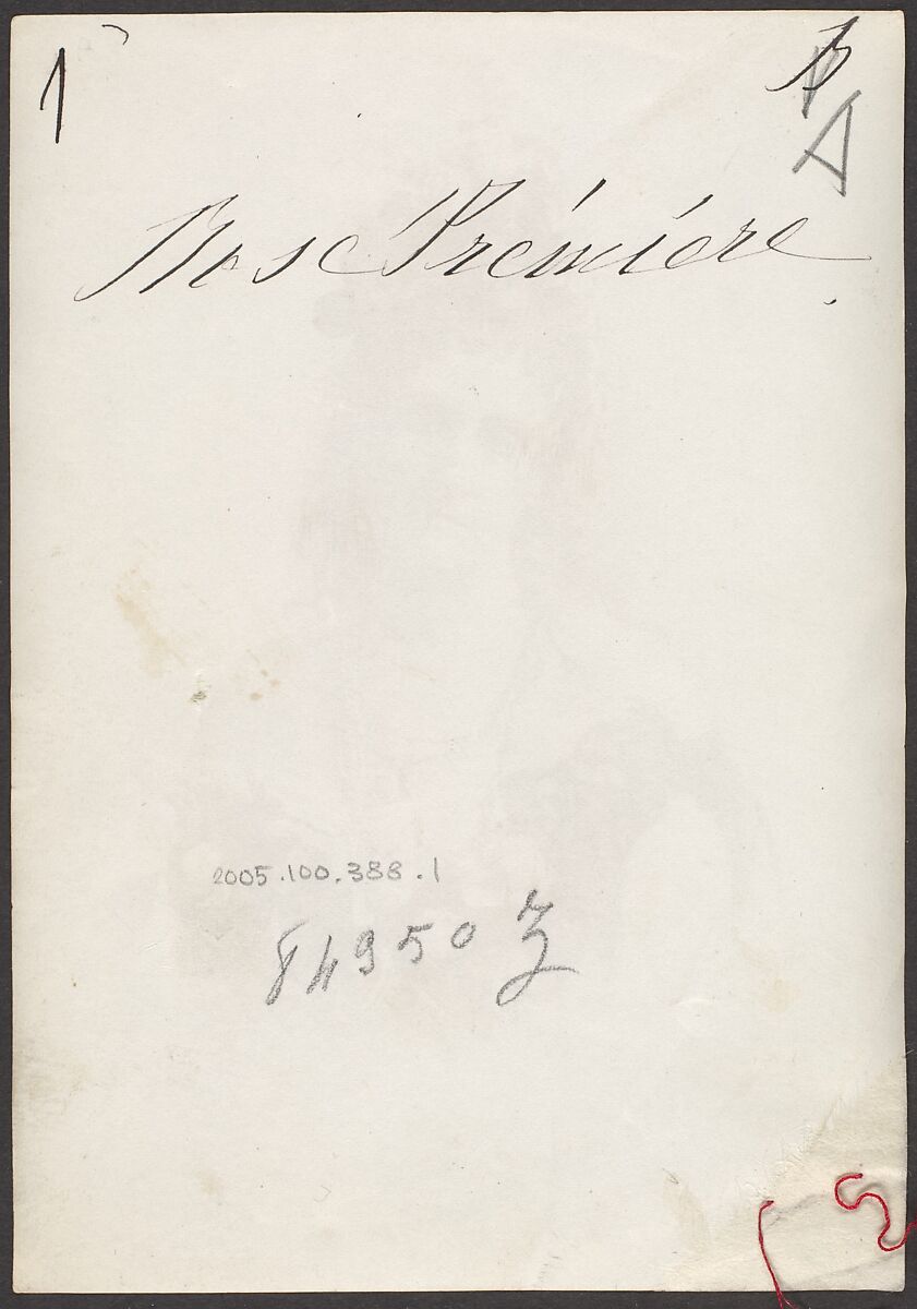 [Countess de Castiglione], Pierre-Louis Pierson (French, 1822–1913), Albumen silver print from glass negative