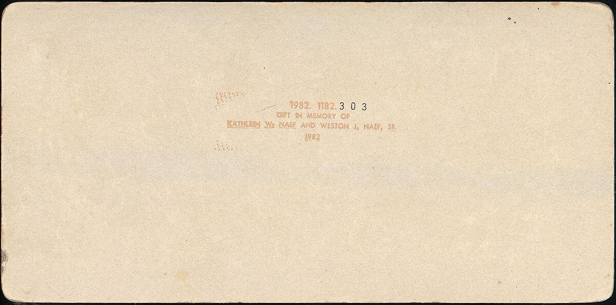 [Group of 5 Stereograph Views of Austria], Franz Richard Unterberger (Austrian), Albumen silver prints