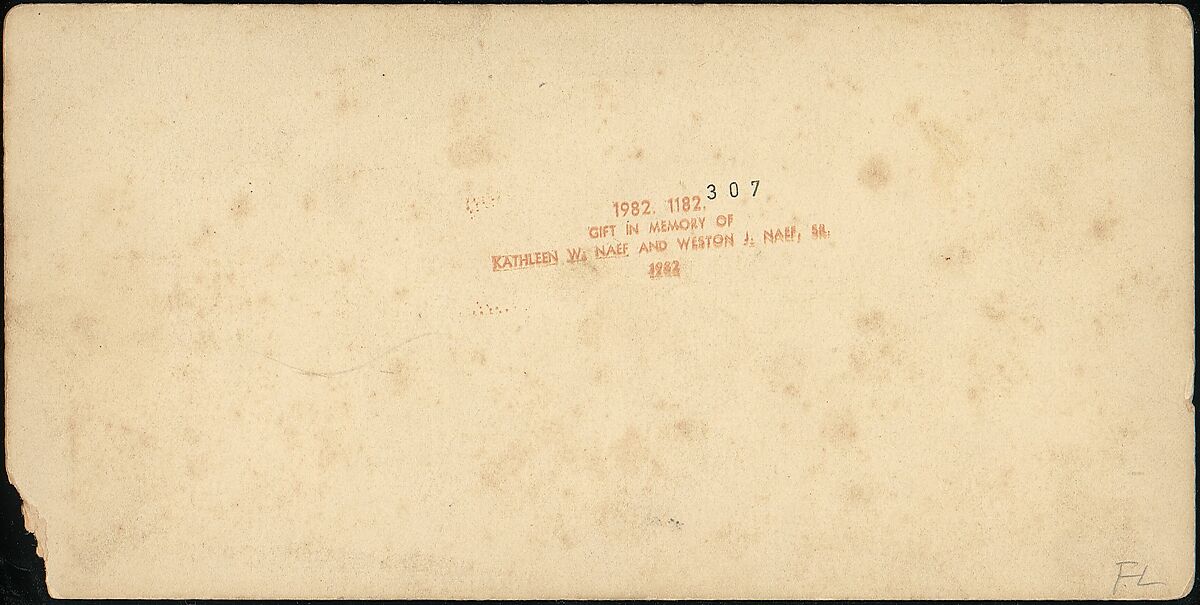 [Stereograph View of a Hot Air Balloon], Unknown, Albumen silver prints