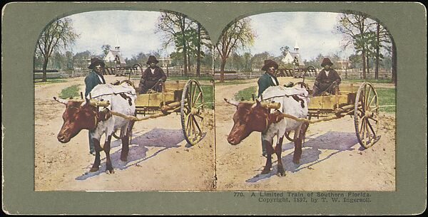 [Group of 71 Stereograph Views of African-Americans and Early Black American Culture, including Colloquial Black Humor], Francis Hendricks (American, Syracuse, New York), Albumen silver prints