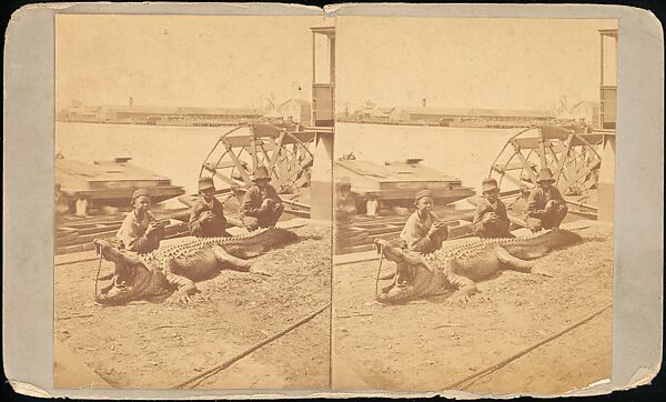 [Group of 71 Stereograph Views of African-Americans and Early Black American Culture, including Colloquial Black Humor], Francis Hendricks (American, Syracuse, New York), Albumen silver prints
