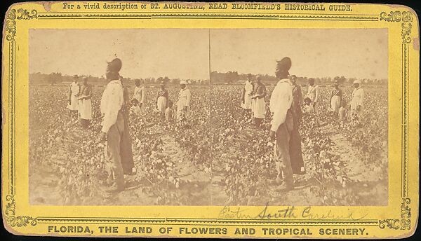 [Group of 71 Stereograph Views of African-Americans and Early Black American Culture, including Colloquial Black Humor], Francis Hendricks (American, Syracuse, New York), Albumen silver prints