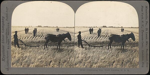 [Group of 71 Stereograph Views of African-Americans and Early Black American Culture, including Colloquial Black Humor], Francis Hendricks (American, Syracuse, New York), Albumen silver prints