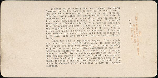 [Group of 71 Stereograph Views of African-Americans and Early Black American Culture, including Colloquial Black Humor], Francis Hendricks (American, Syracuse, New York), Albumen silver prints