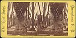 [Group of 15 Stereograph Views of Bridges], Unknown, Albumen silver prints