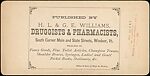 [Group of 15 Stereograph Views of Bridges], Unknown, Albumen silver prints