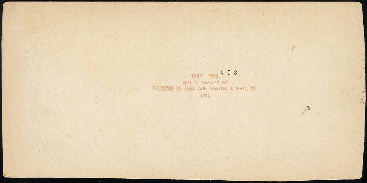 [Group of 3 Stereograph Views of Bridges and Railways at Niagara], American Scenery (American), Albumen silver prints