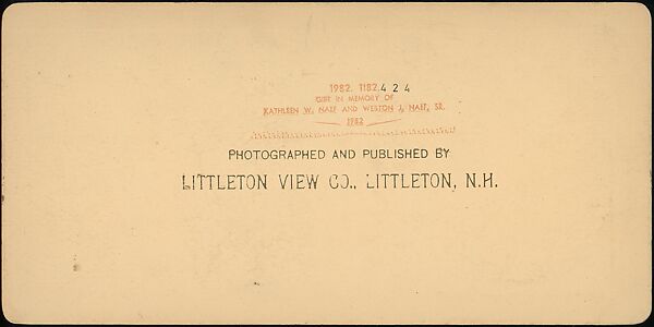 [Group of 23 Stereograph Views of Railroad Bridges], E. P. Libby (American), Albumen silver prints