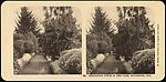 [Group of 24 Stereograph Views of California Cities and Towns], Unknown (American), Albumen silver prints