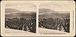 [Group of 24 Stereograph Views of California Cities and Towns], Unknown (American), Albumen silver prints