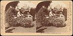 [Group of 24 Stereograph Views of California Cities and Towns], Unknown (American), Albumen silver prints