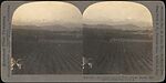 [Group of 24 Stereograph Views of California Cities and Towns], Unknown (American), Albumen silver prints