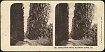[Group of 24 Stereograph Views of California Cities and Towns], Unknown (American), Albumen silver prints