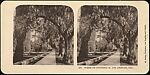 [Group of 24 Stereograph Views of California Cities and Towns], Unknown (American), Albumen silver prints