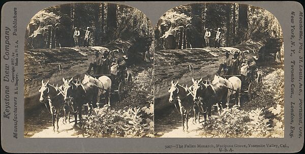 [Group of 100 Stereograph Views of California Nature and Landscapes With a Focus on Yosemite], Keystone View Company, Albumen silver prints 