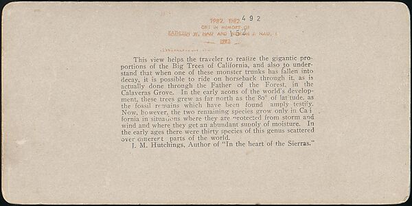 [Group of 100 Stereograph Views of California Nature and Landscapes With a Focus on Yosemite], Keystone View Company, Albumen silver prints