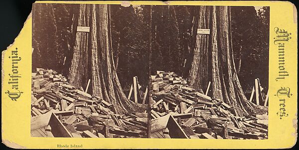 [Group of 100 Stereograph Views of California Nature and Landscapes With a Focus on Yosemite], Keystone View Company, Albumen silver prints