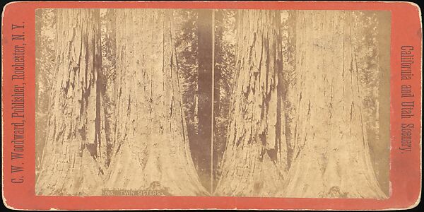 [Group of 100 Stereograph Views of California Nature and Landscapes With a Focus on Yosemite], Keystone View Company, Albumen silver prints