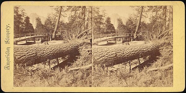 [Group of 100 Stereograph Views of California Nature and Landscapes With a Focus on Yosemite], Keystone View Company, Albumen silver prints