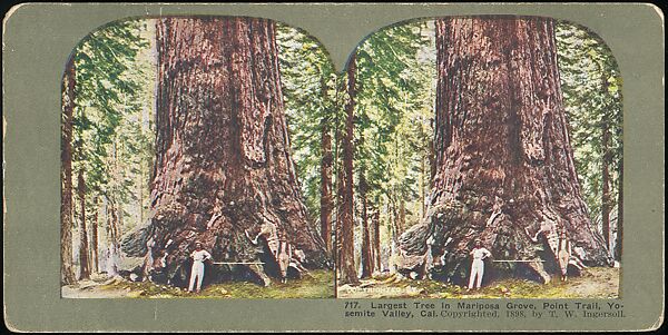 [Group of 100 Stereograph Views of California Nature and Landscapes With a Focus on Yosemite], Keystone View Company, Albumen silver prints