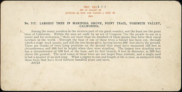 [Group of 100 Stereograph Views of California Nature and Landscapes With a Focus on Yosemite], Keystone View Company, Albumen silver prints