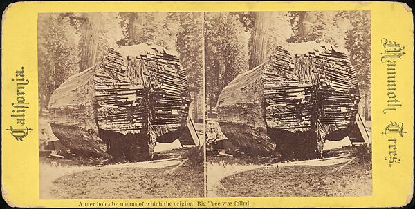[Group of 100 Stereograph Views of California Nature and Landscapes With a Focus on Yosemite], Keystone View Company, Albumen silver prints