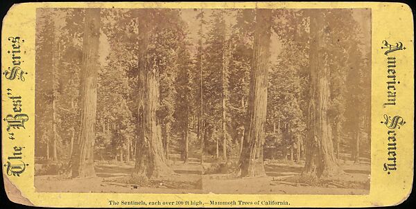 [Group of 100 Stereograph Views of California Nature and Landscapes With a Focus on Yosemite], Keystone View Company, Albumen silver prints