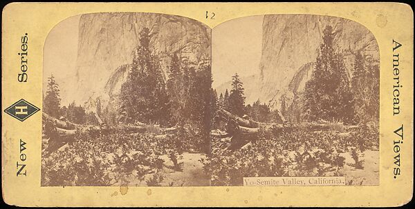 [Group of 100 Stereograph Views of California Nature and Landscapes With a Focus on Yosemite], Keystone View Company, Albumen silver prints
